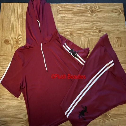 Burgundy Crop Top/Short Set